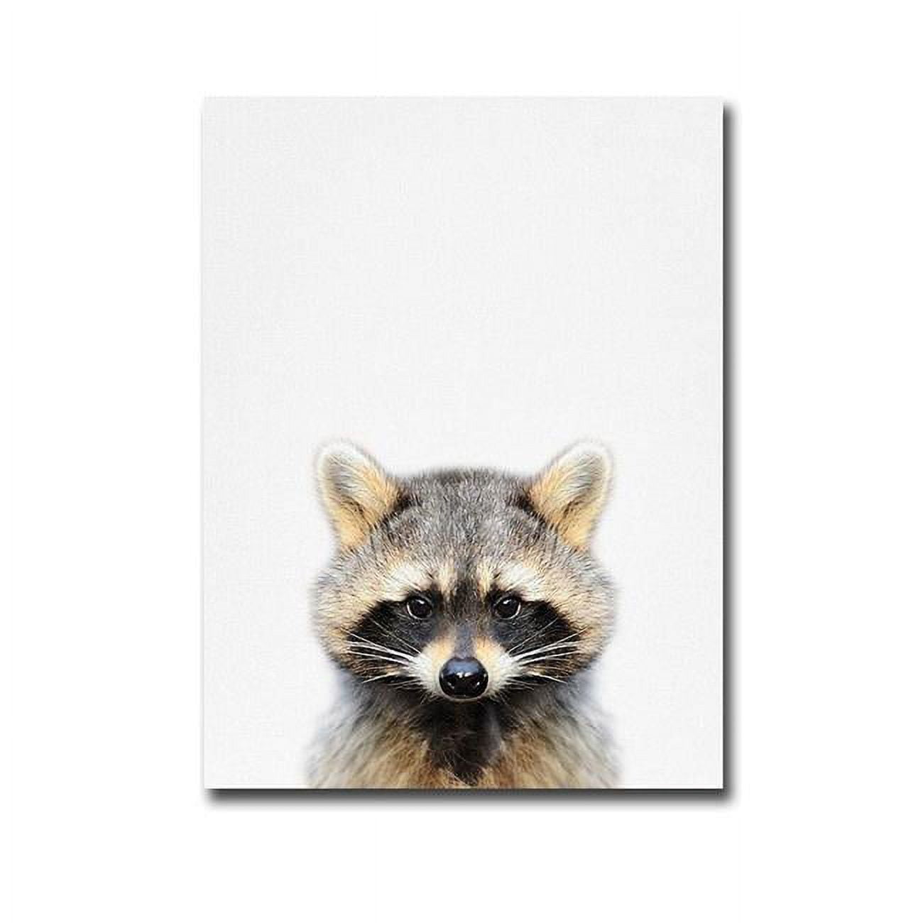 1216u196ig Raccoon By Tai Prints Premium Gallery-wrapped Canvas Giclee Art - 12 X 16 X 1.5 In.