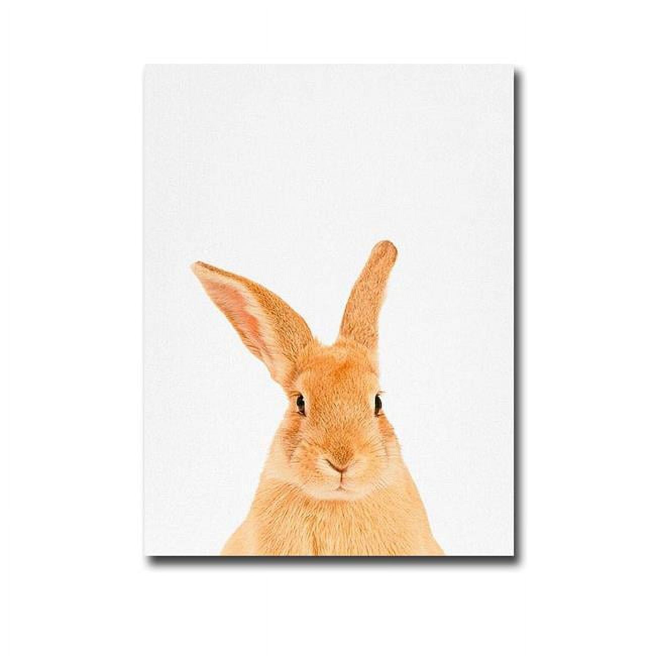 1216u296ig Rabbit By Tai Prints Premium Gallery-wrapped Canvas Giclee Art - 12 X 16 X 1.5 In.