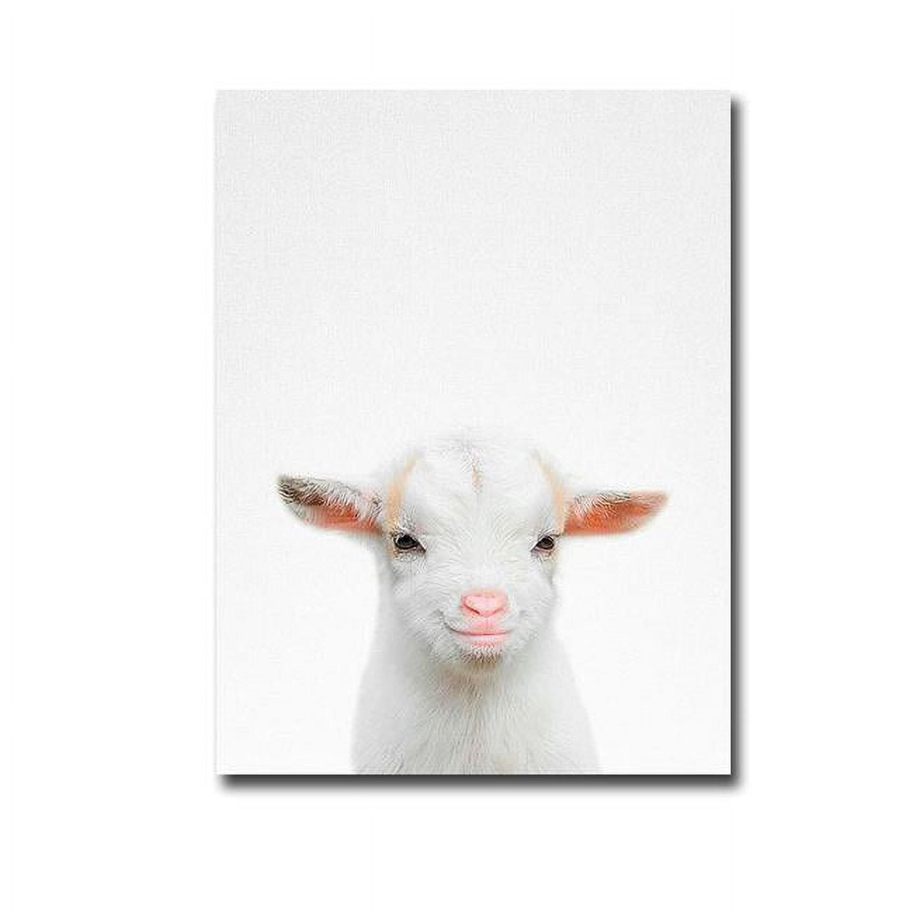 1216u495ig Baby Goat By Tai Prints Premium Gallery-wrapped Canvas Giclee Art - 12 X 16 X 1.5 In.