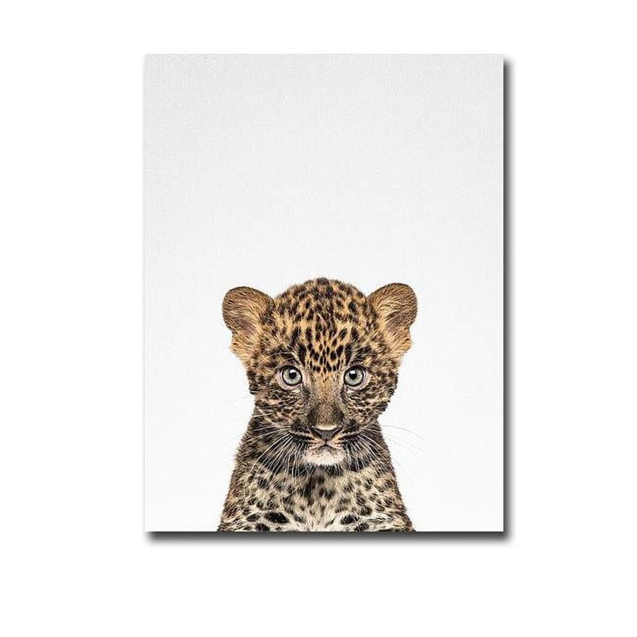 1216w4972ig Leopard By Tai Prints Premium Gallery-wrapped Canvas Giclee Art - 12 X 16 X 1.5 In.
