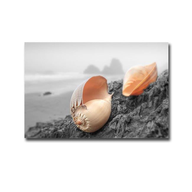 1218e865ig Crescent Beach Shells No.20 By Alan Blaustein Premium Gallery-wrapped Canvas Giclee Art - 12 X 18 X 1.5 In.