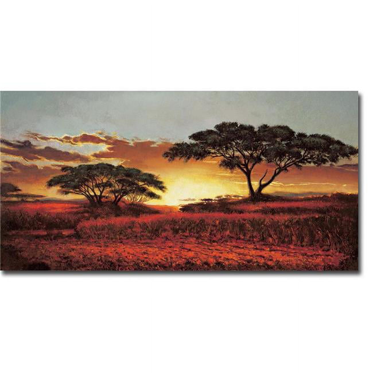1224563tg Memories Of Serengeti By Madou Premium Gallery-wrapped Canvas Giclee Art - Ready To Hang, 12 X 24 In.