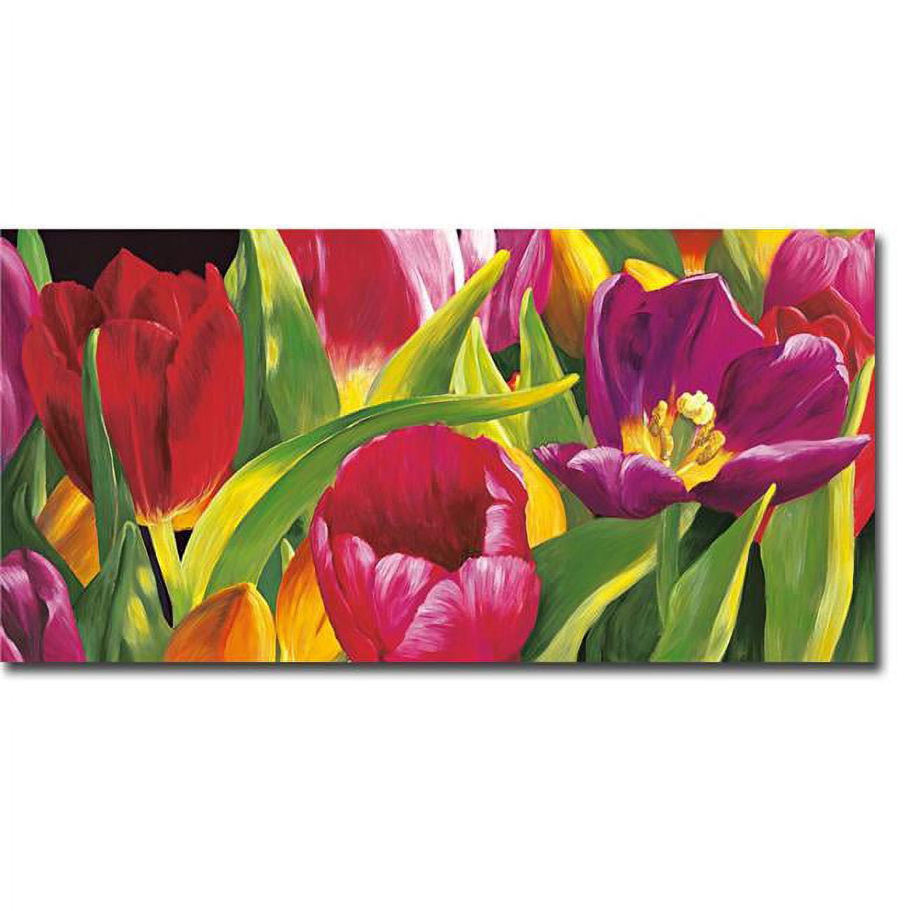 1224757tg The Spring By Laura Martin Premium Gallery-wrapped Canvas Giclee Art - Ready To Hang, 12 X 24 In.