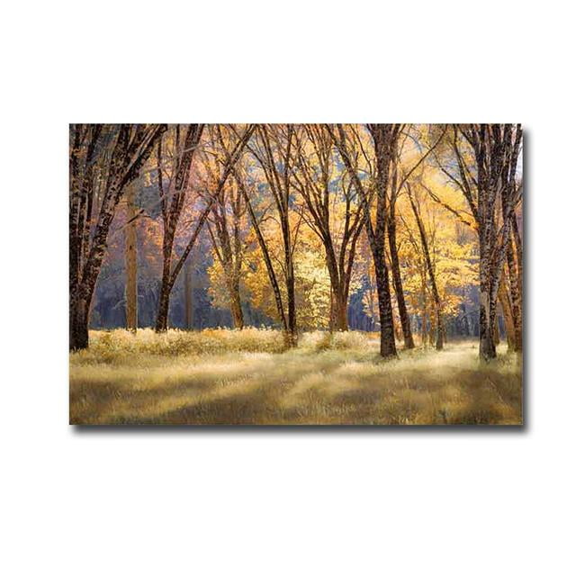 El Capitan Meadow By Fred Mertz Premium Gallery-wrapped Canvas Giclee Art - Ready-to-hang, 24 X 36 X 1.5 In.