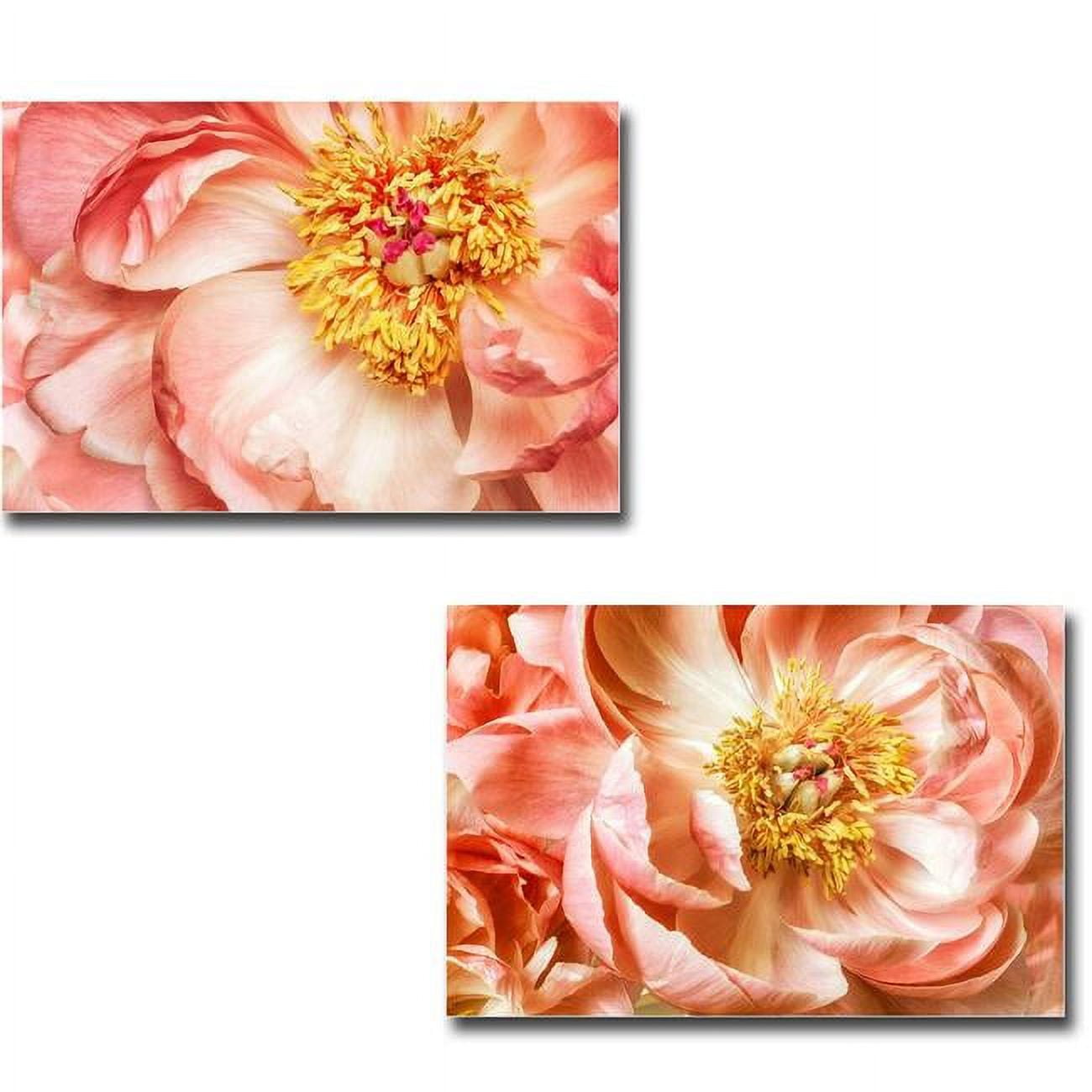 2436y749eg Peony One & Peony Two By Dianne Poinski Gallery-wrapped Canvas Giclee Art Set - Ready To Hang, 24 X 36 X 1.5 In.