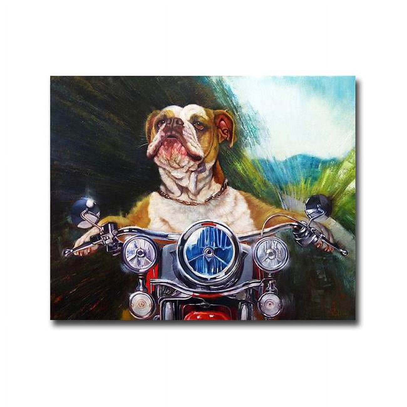 1620546ig Born To Be Wild By Lucia Heffernan Premium Gallery-wrapped Canvas Giclee Art - Ready-to-hang, 16 X 20 In.