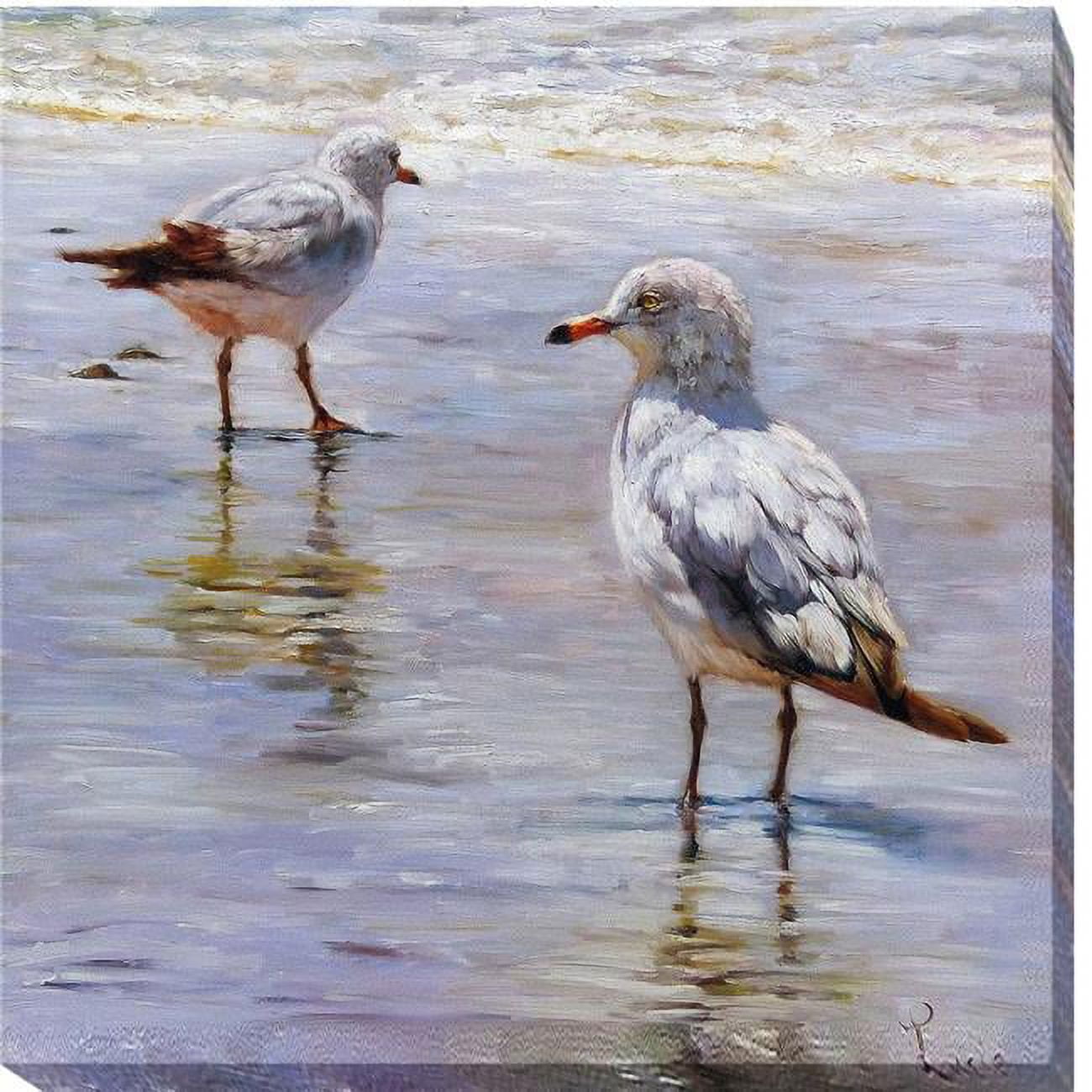 3030k5702g Waders By Lucia Heffernan Premium Gallery-wrapped Canvas Giclee Art - Ready-to-hang, 30 X 30 X 1.5 In.