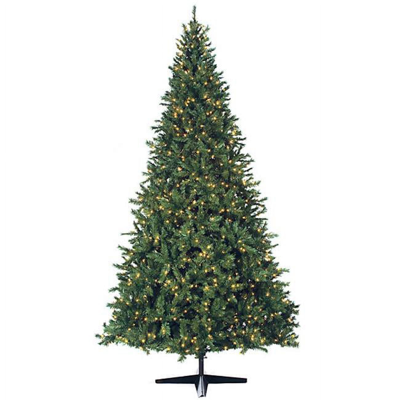 C-0210-1 7.5 Ft. Winchester Pine, Green