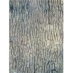 D-150350 6 Ft. X 3 Ft. Synthetic Pecan Tree Bark, Natural