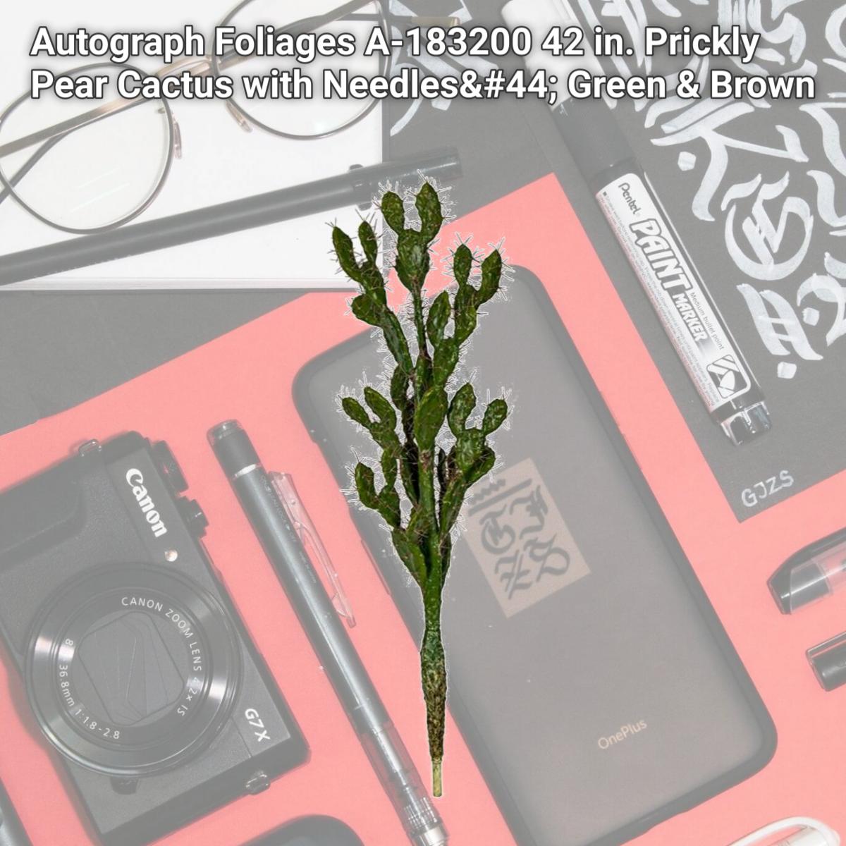 Picture of Autograph Foliages A-183200 42 in. Prickly Pear Cactus with Needles&#44; Green & Brown