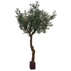P-180110 10 Ft. Olive Tree Pvc Trunk & Wood Pot, Green