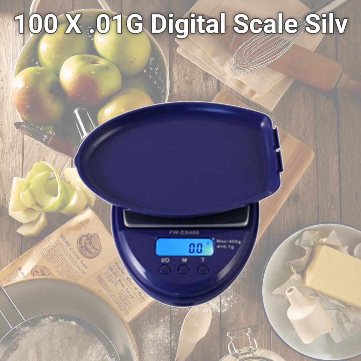 Picture of Fast Weigh 100 X .01G Digital Scale Silv