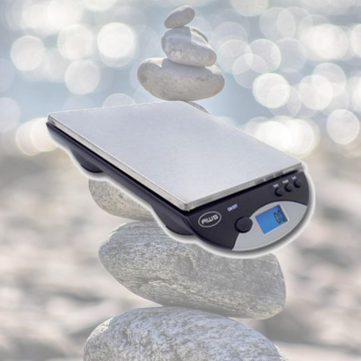 Picture of AWS AMW-500I-BLK 500 x 0.1g Digital Compact Balance