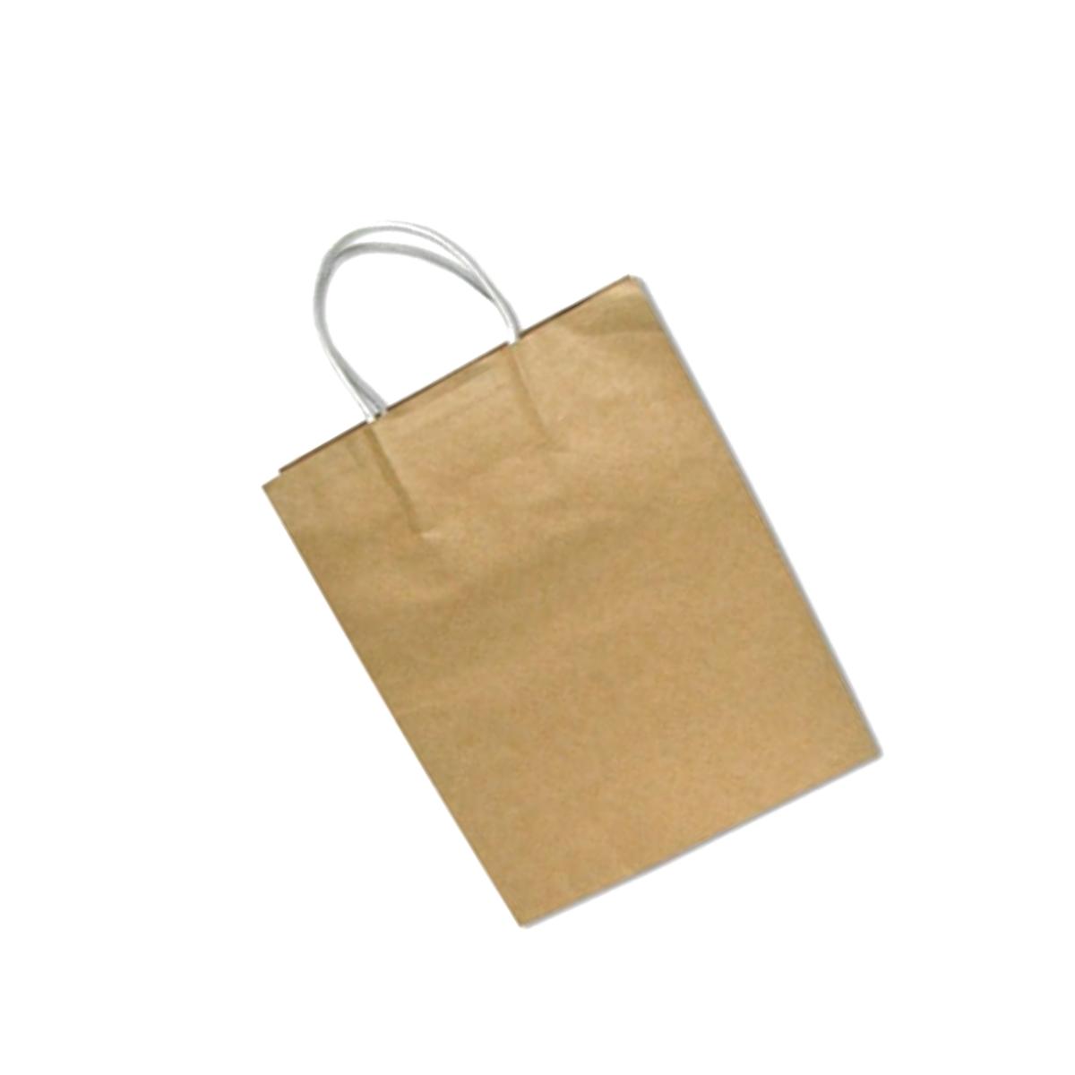 Picture of Consolidated Stamp 091566 Premium Large Brown Paper Shopping Bag- 50-Box