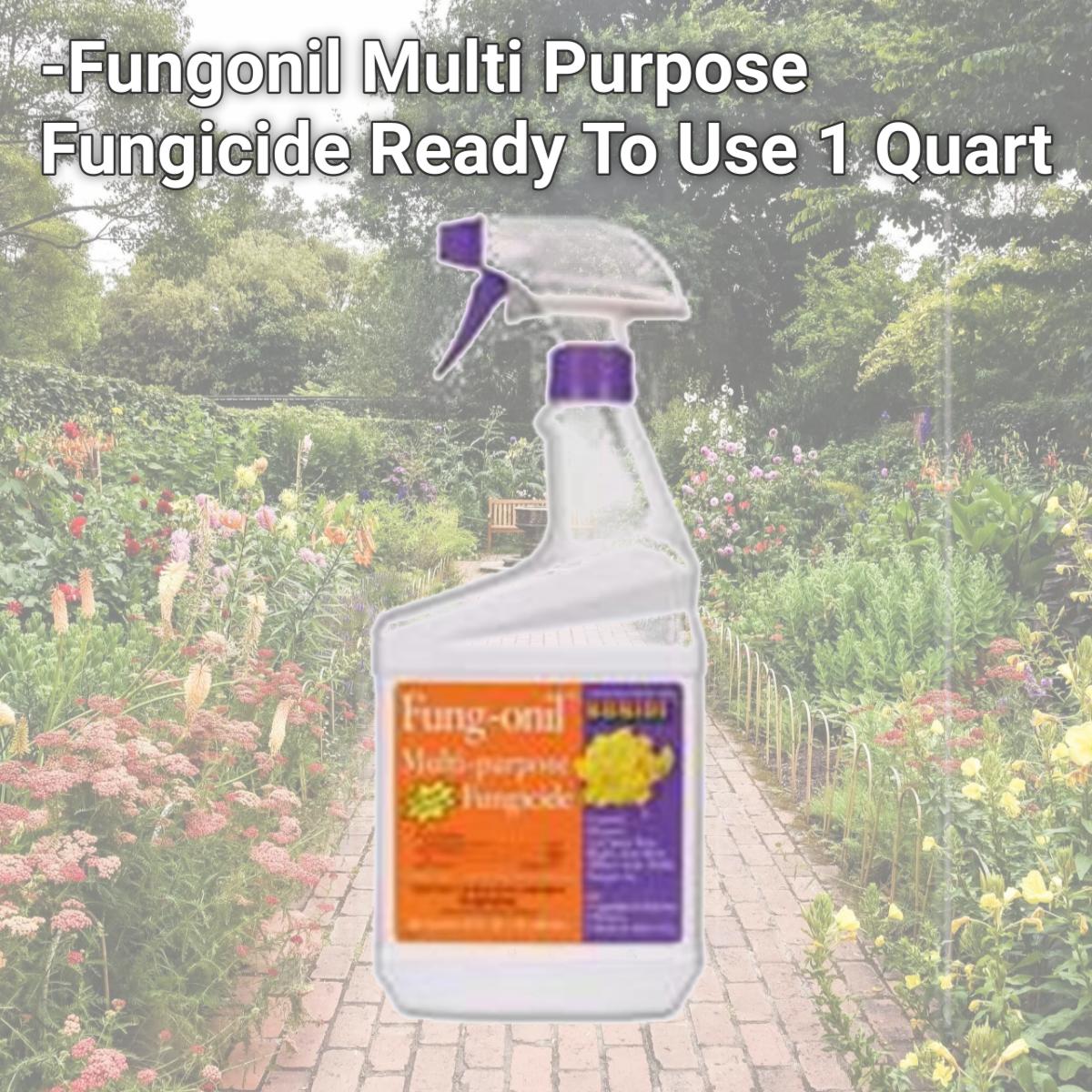 Picture of Bonide Products Inc P-Fungonil Multi Purpose Fungicide Ready To Use 1 Quart