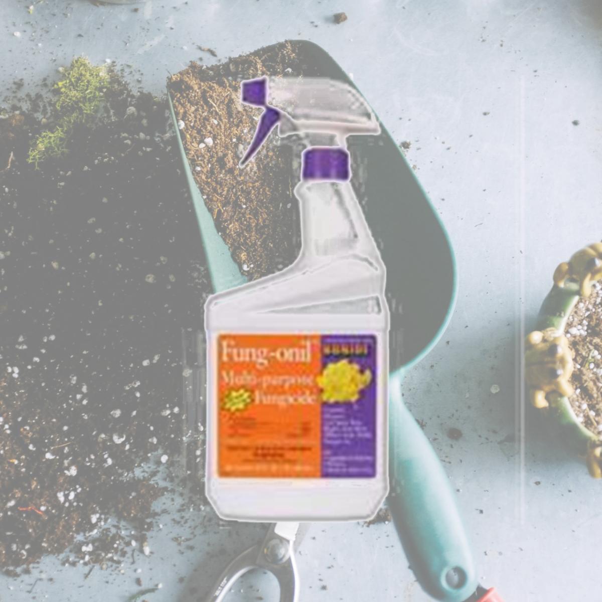 Picture of Bonide Products Inc P-Fungonil Multi Purpose Fungicide Ready To Use 1 Quart