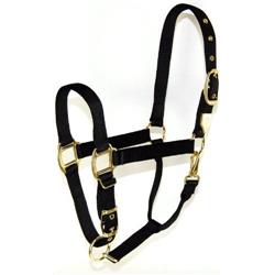 441205 1 In. Adjustable Chin Strap Halter With Snap - Black