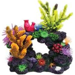 062024 8 X 5 X 8 In. Coral Reef Formation