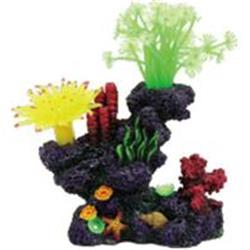 062030 6 X 4 X 7 In. Coral Reef Formation