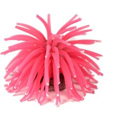062044 Sea Anemone - Large, Red