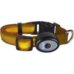 Elive 034359 0.75 X 14-20 In. Led Dog Collar - Yellow