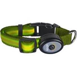 Elive 034362 0.75 X 10-14 In. Led Dog Collar - Green