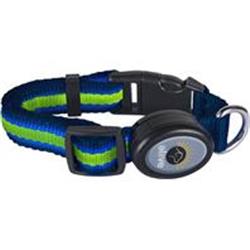 Elive 034366 0.75 X 10-14 In. Led Dog Collar - Blue, Green