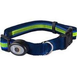 Elive 034368 1 X 14-20 In. Led Dog Collar - Blue, Green