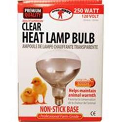 957832 250 Watt Little Giant Heat Lamp Bulb, Clear