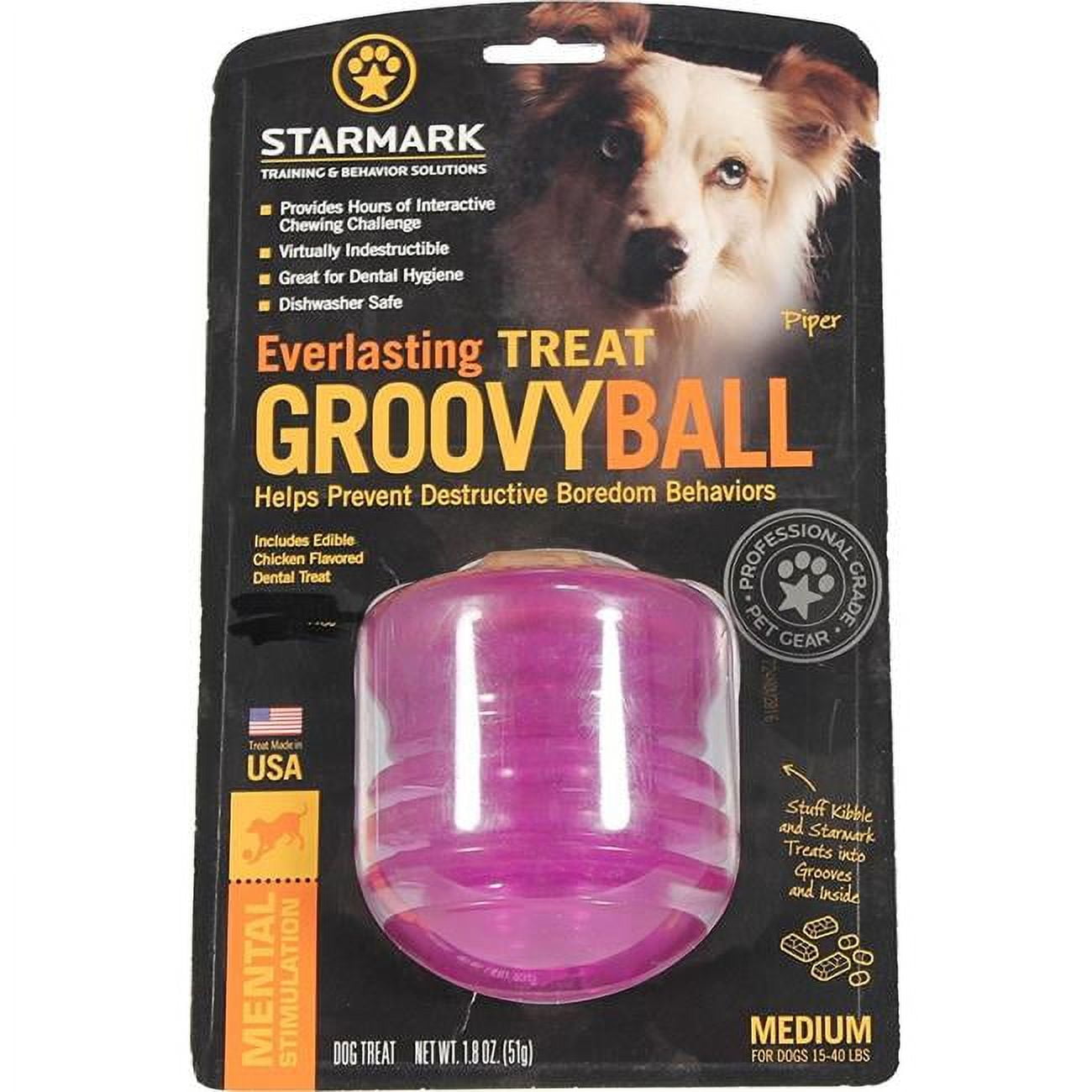 114130 Everlasting Treat Groovy Ball Dog Toy - Green, Medium