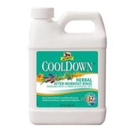 690410 32 Oz Absorbine Cooldown Herbal After Workout Rinse