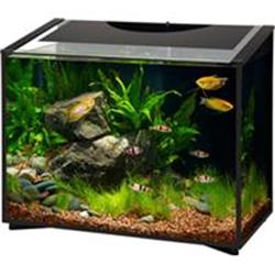 UPC 015905000161 product image for Aqueon Products - Glass 277189 20 gal Ascent LED Aquarium Kit Black | upcitemdb.com