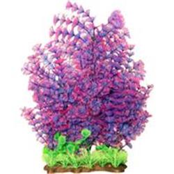 062243 16 In. Extra Wide Bushy Ambulia Aquarium Plant - Purple