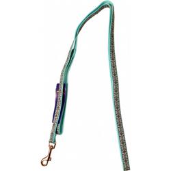 Slf 6 Ro P15 0.625 In. X 6 Ft. Single Thick Lead With Ribbon Overlay, Blue