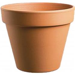 6 In. Standard Clay Pot, Terra Cotta