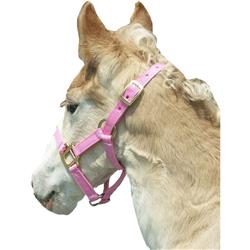 Horse & Livestock Prime 085000fp Premium Halter Chin With Snap -weanling