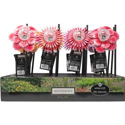 91376sp Summer Blooms Stake Light Display - Multicolor