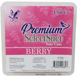 Up1200113 11 Oz Premium Select Berry Suet, Pack Of 12