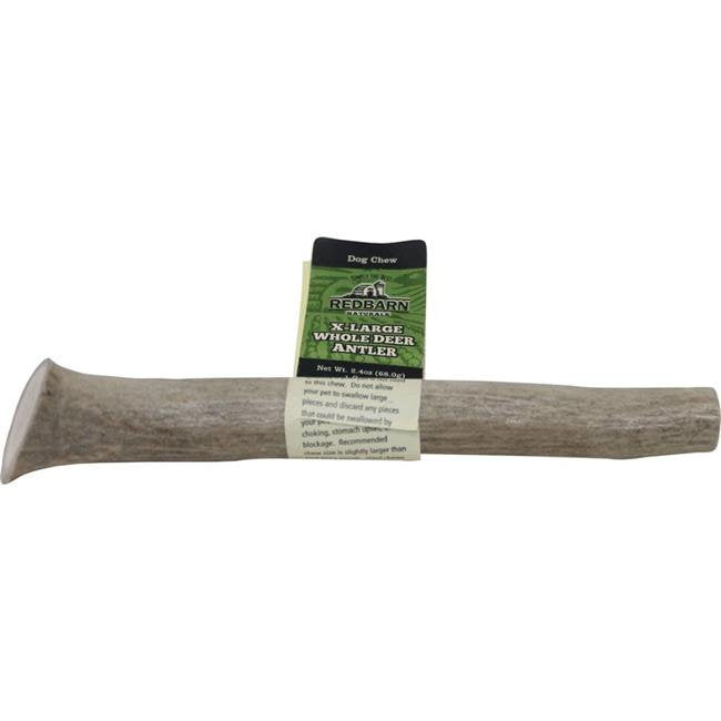 260105 Extra Large Deer Antler Whole - Pack Of 12