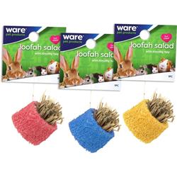 Ware Manufacturing 13093 Critter Ware Loofah Salad Treat, Assorted Color - Pack Of 48