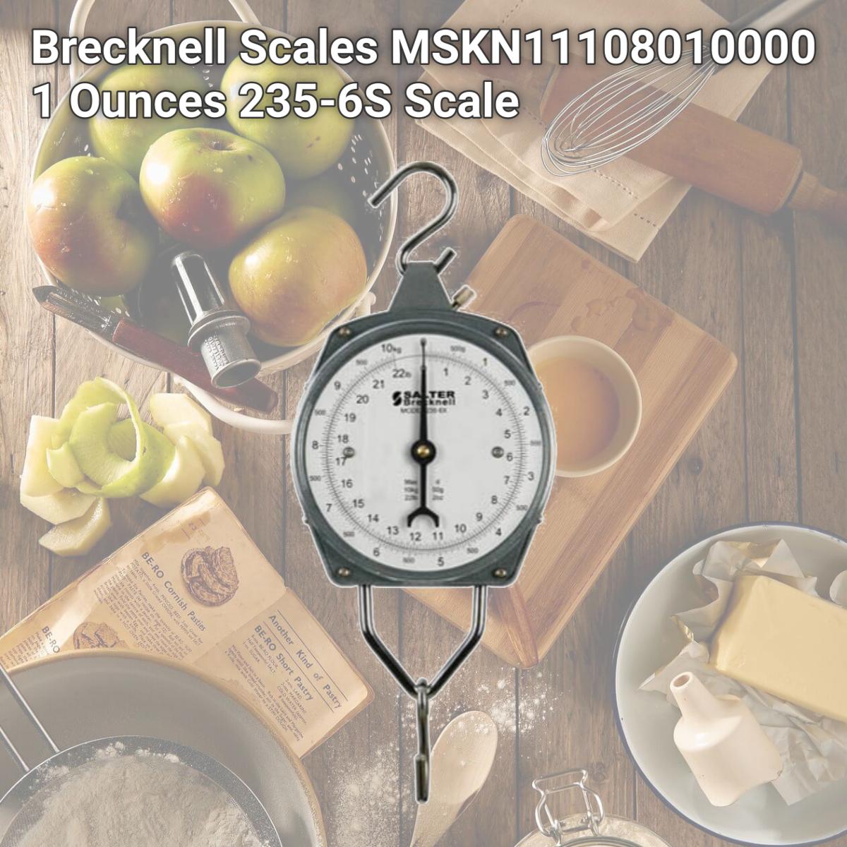 Picture of Brecknell Scales MSKN11108010000 1 Ounces 235-6S Scale