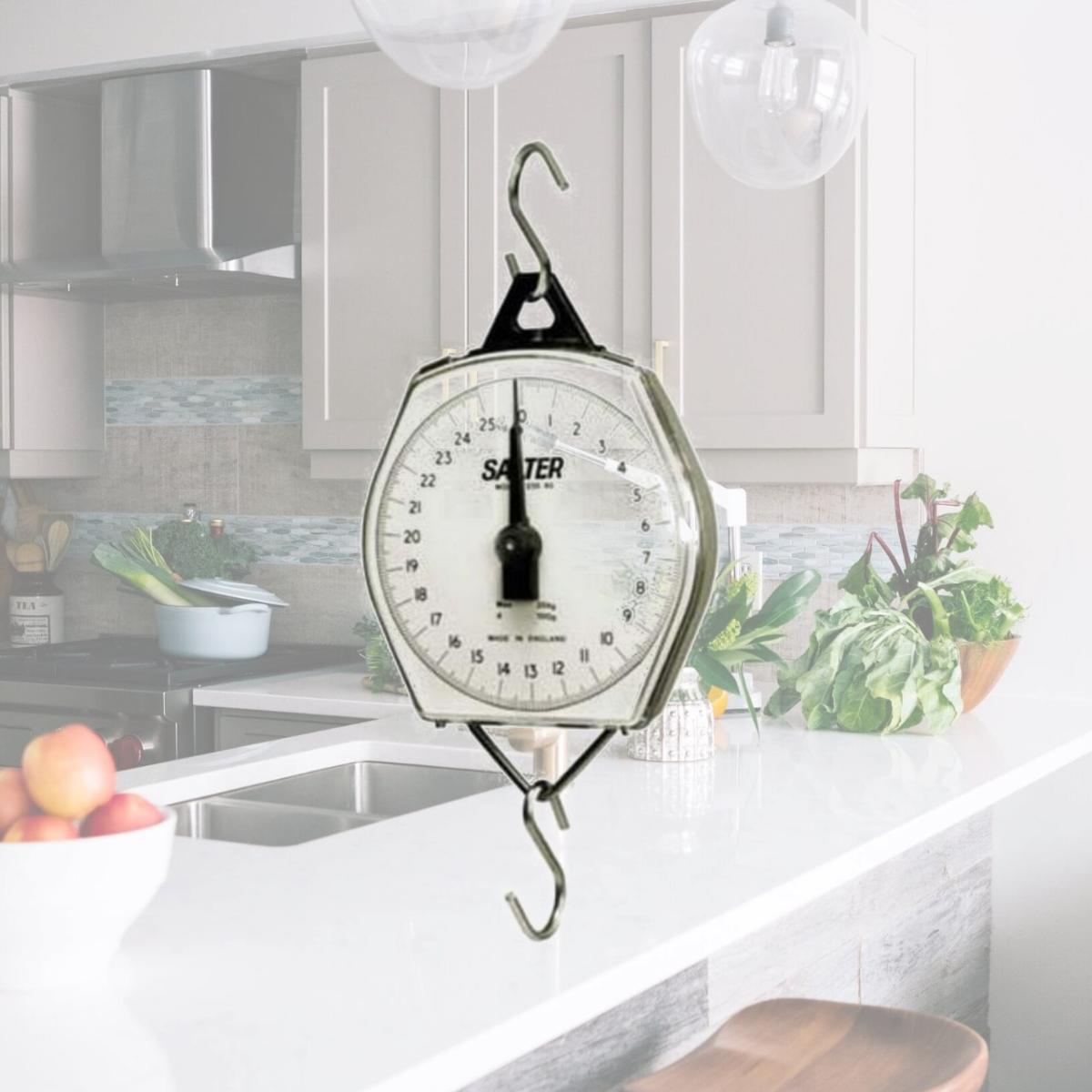 Picture of Brecknell Scales MSKN12208010000 4 Ounces 235-6S Scale