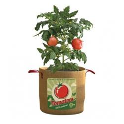 Bfg2 Pan84386 20 Gal Retro Tomato Grow Bag