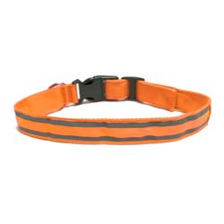 Refcollar M-o Led Reflective Pet Collar With 2 Night Reflective Stripes, Orange - Medium