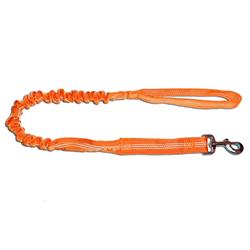 Buff Or Bungee Dog Leash For Training Running & Walking, Orange - Small, Medium & Large
