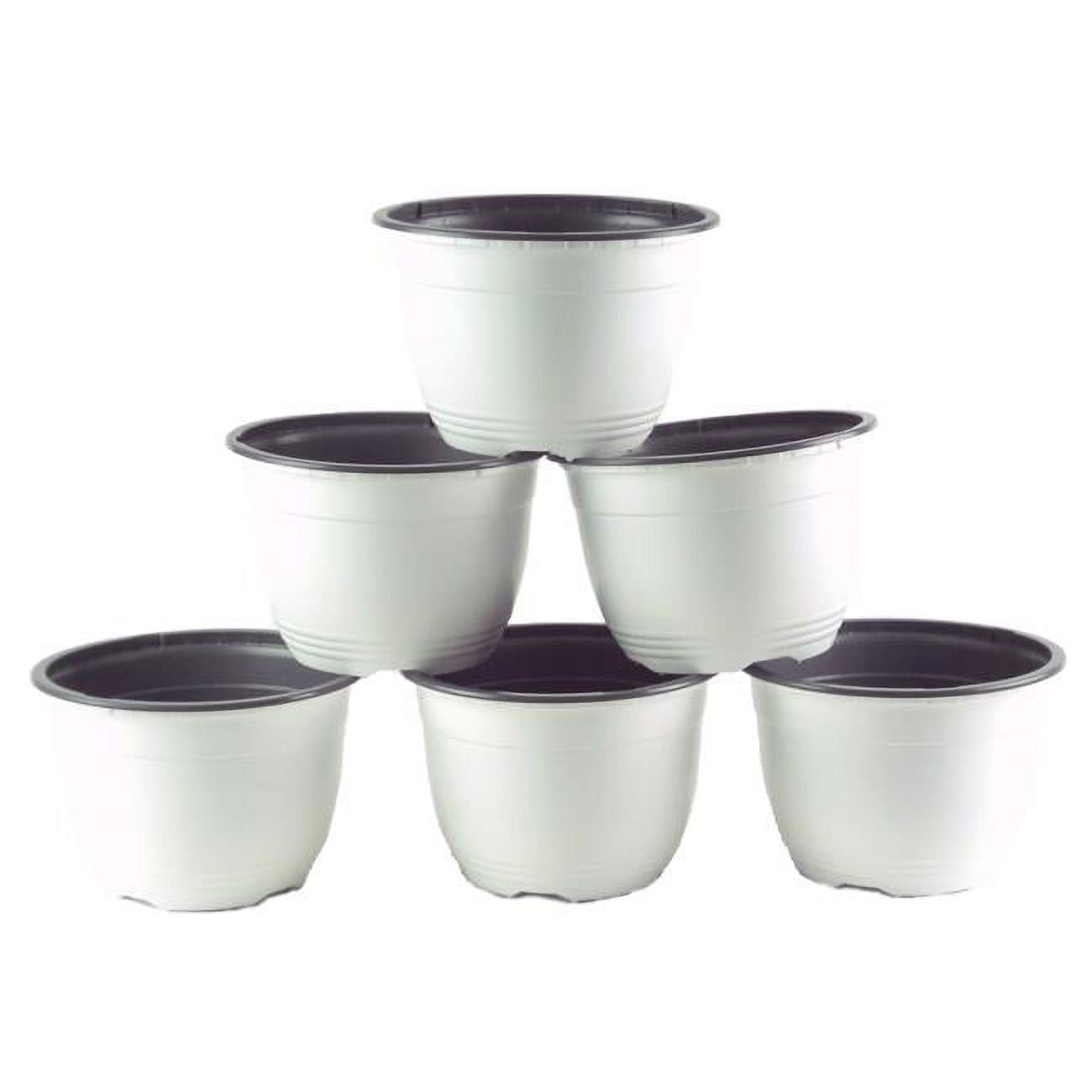 Vaa717p6 6 In. Plastic Pot White & Gray - Pack Of 6