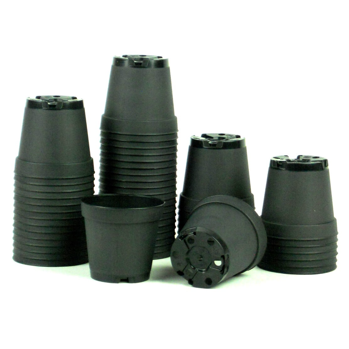 T55bl817 2 In. Plastic Pot, Black - Pack Of 50