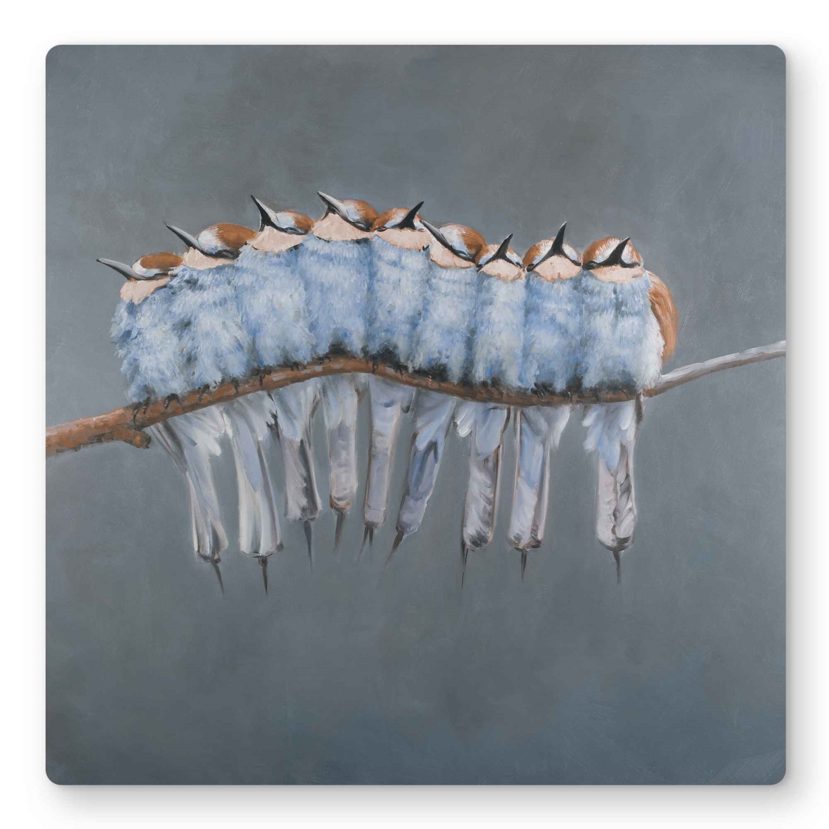 C1MP1616DW3Q0I 16 x 16 in. Bunch of Small Birds On A Branch Wall Art - Bedroom Blue Metal Print