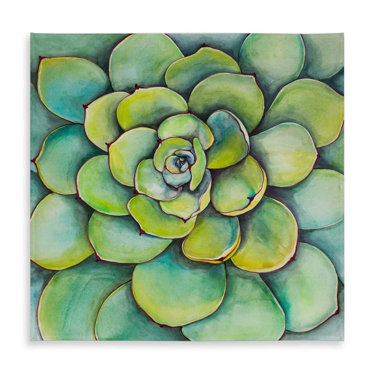 Picture of Begin Home Decor C1TC585848SOX1 58 x 58 in. Watercolor Succulent Plant Tablecloth - Cactus Green Decor