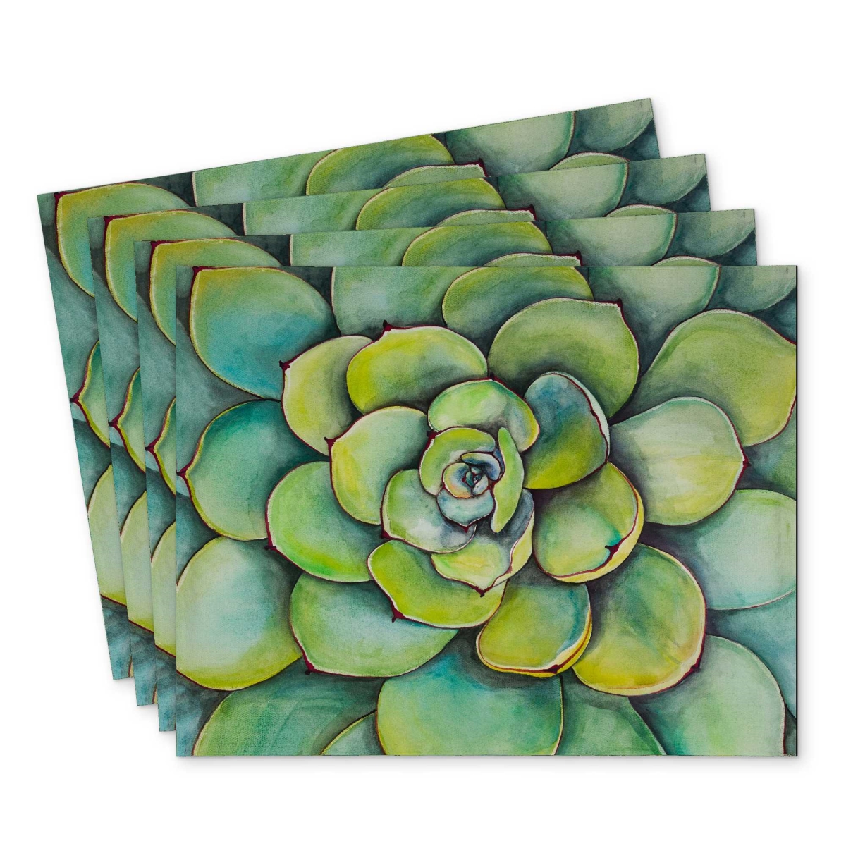 Picture of Begin Home Decor C4PP1418346M0Z 14 x 18 in. Watercolor Succulent Plant Placemat - Home Decor Polyester - Set of 4